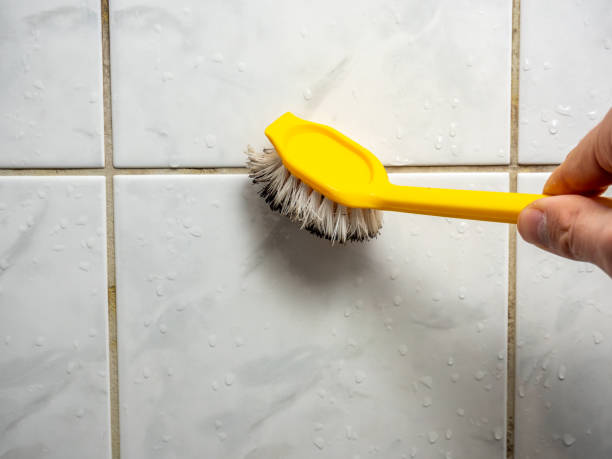 Best Post-Flood Mold Remediation in South Hill, NY